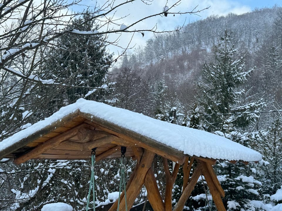 Medve Desag Ursul Bed and Breakfast in Romania