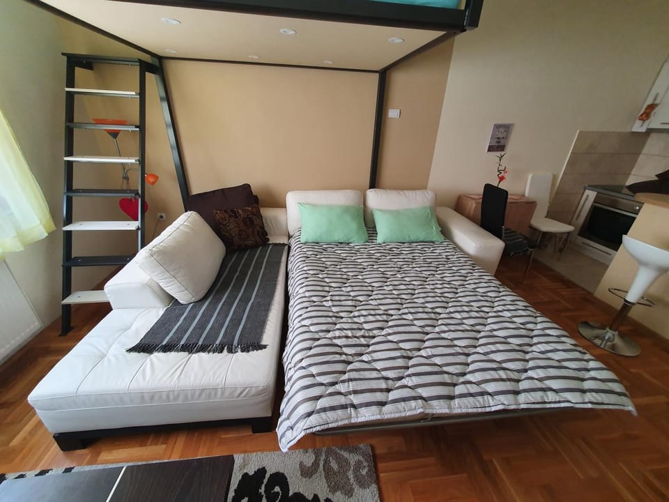 Stankovic apartman Apartment in Serbia