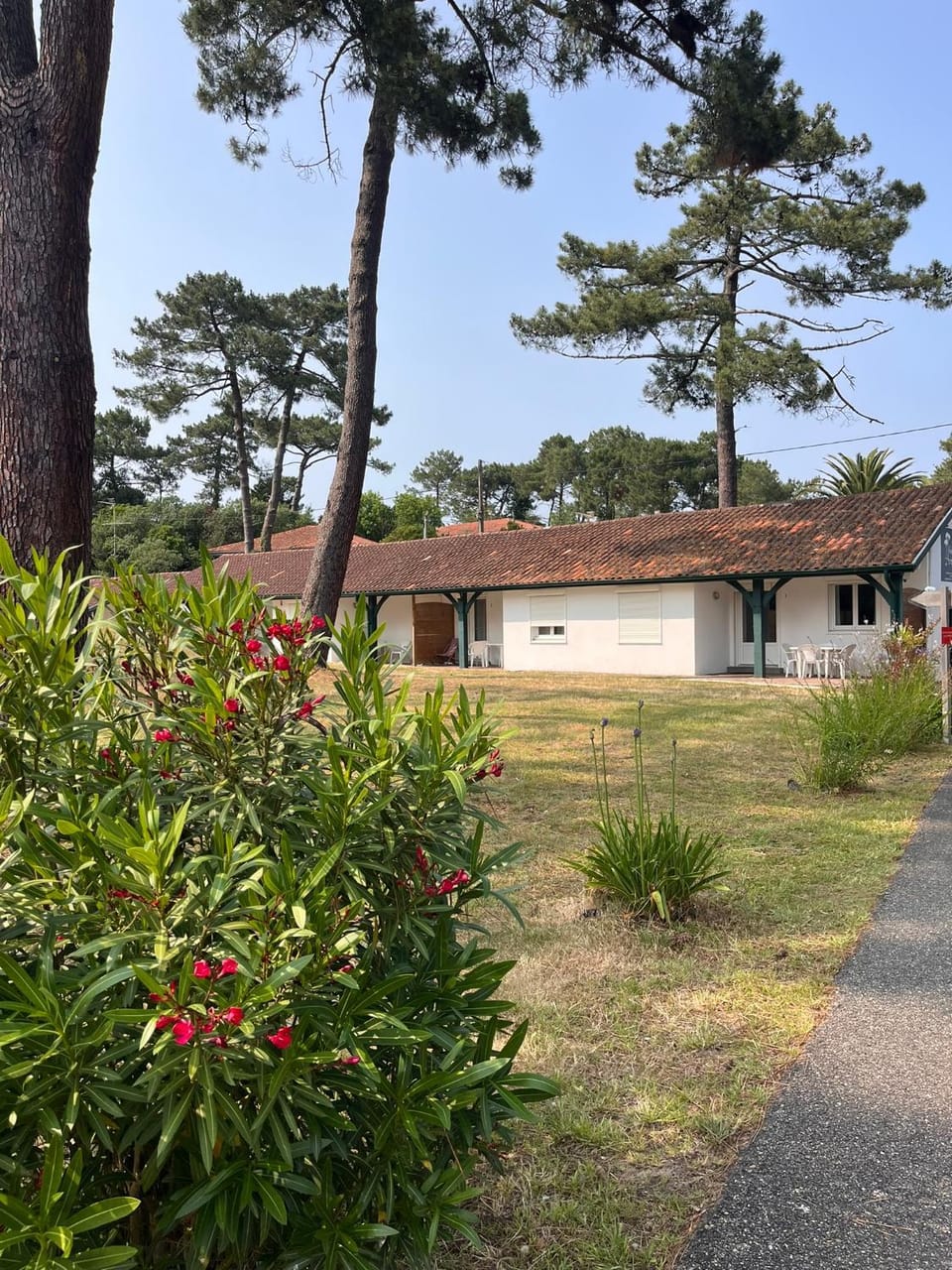 Property building, Natural landscape, Garden, Garden view