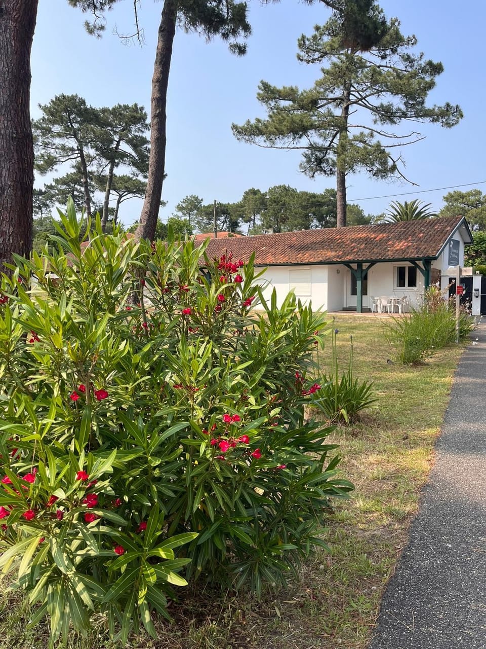 Property building, Natural landscape, Garden
