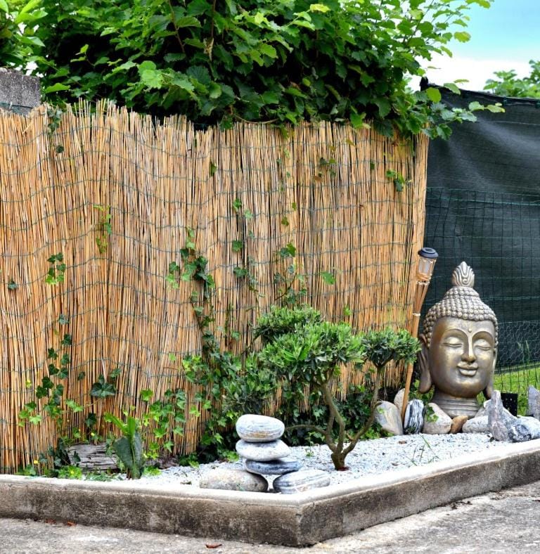 Garden view