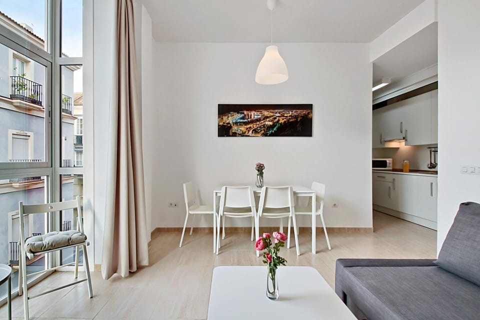 Apartamento terraza privada 2D. MALAGA CENTRO Apartment in Malaga