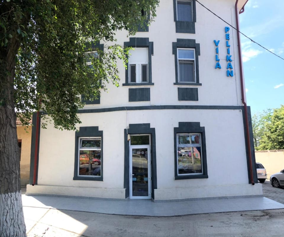 Vila Pelikan Bed and Breakfast in Constanța County