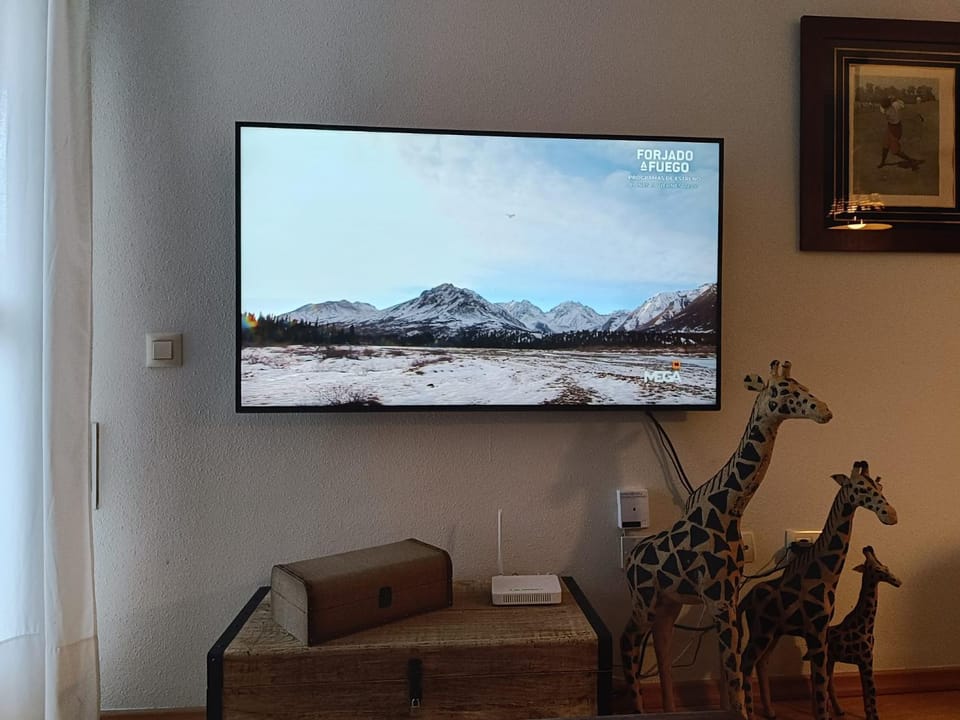 TV and multimedia