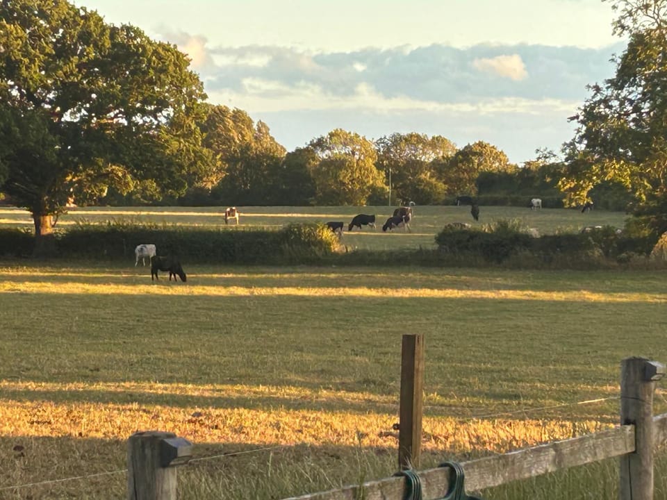 High Oak Holiday Cottage House in Borough of Harrogate