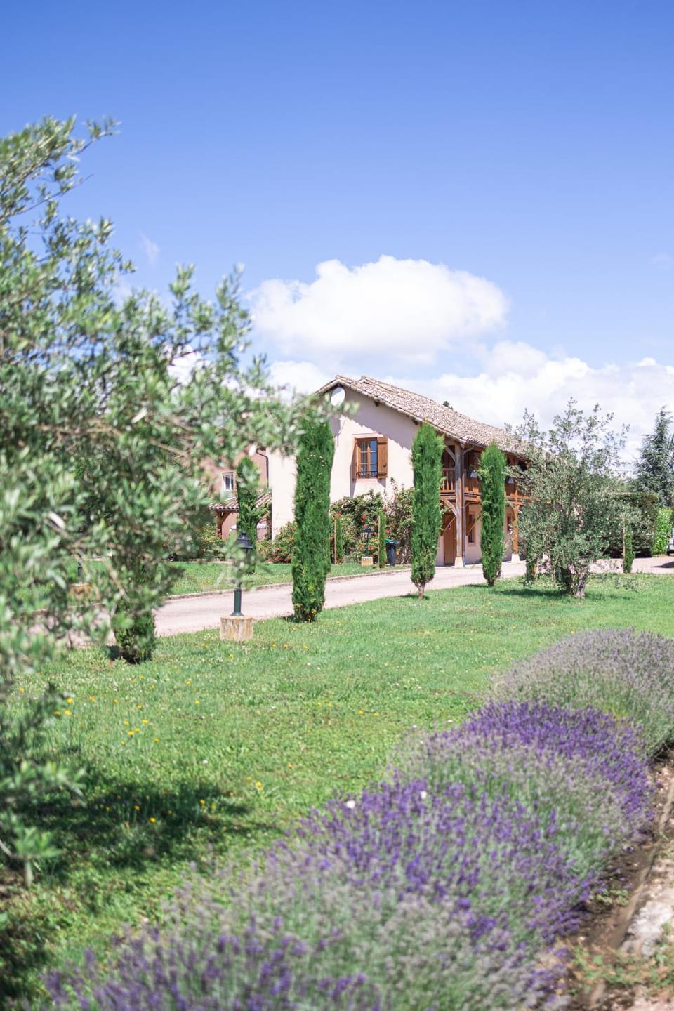 Natural landscape, Garden, Garden view