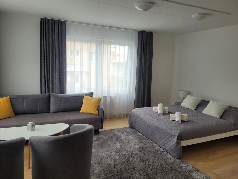 Apartman centrum v súkromí Reštaurácia U Jakuba Apartment in Slovakia