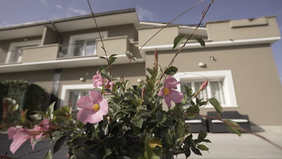Property building, Day, Garden, Garden view, Breakfast