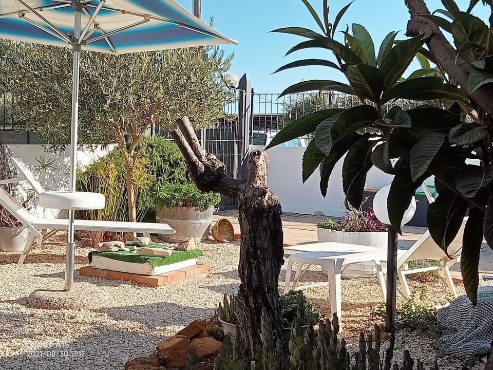 Day, Garden, Garden view