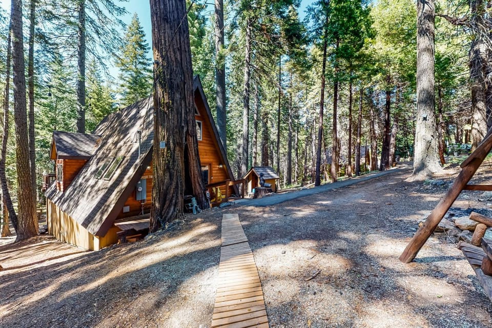 Under The Trees House in Dorrington