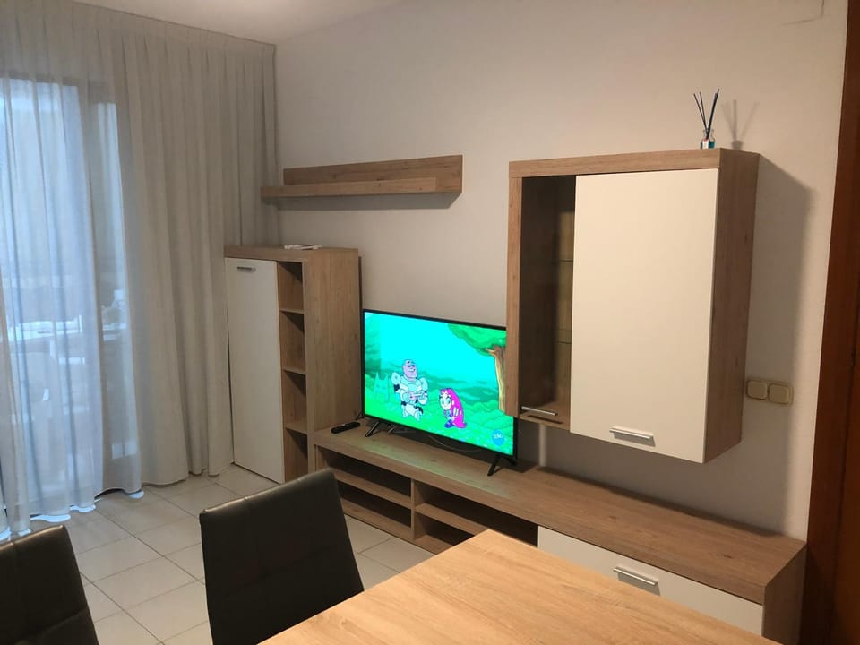 TV and multimedia