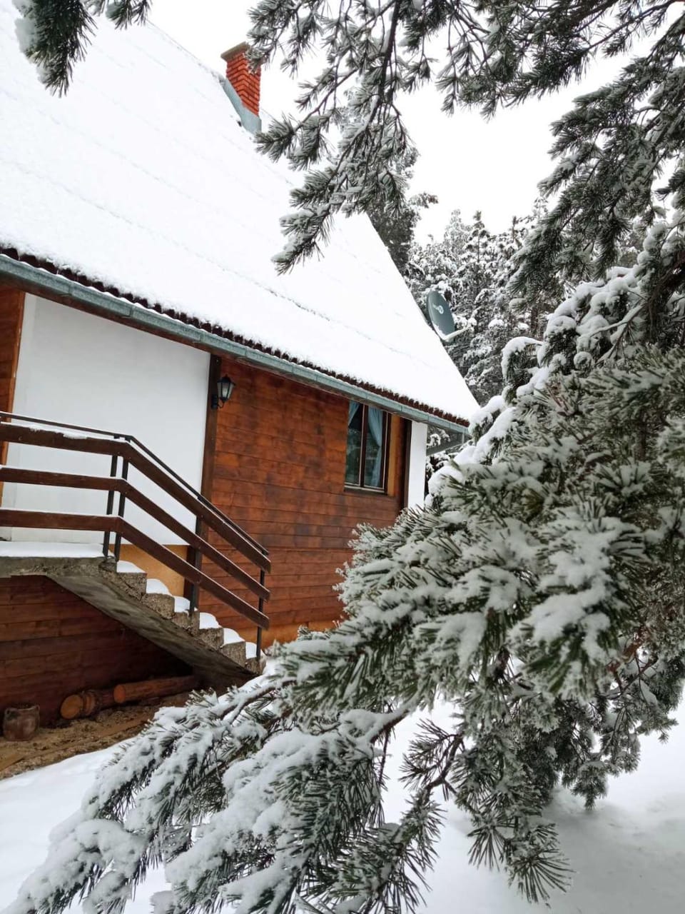 vila Borova glava Villa in Zlatibor District, Serbia