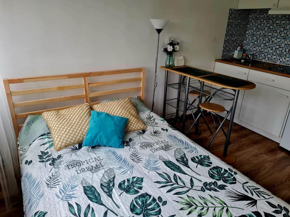 Taikos Studio 6 Apartment in Klaipėda