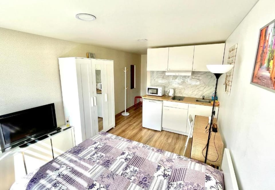 Taikos Studio 6 Apartment in Klaipėda