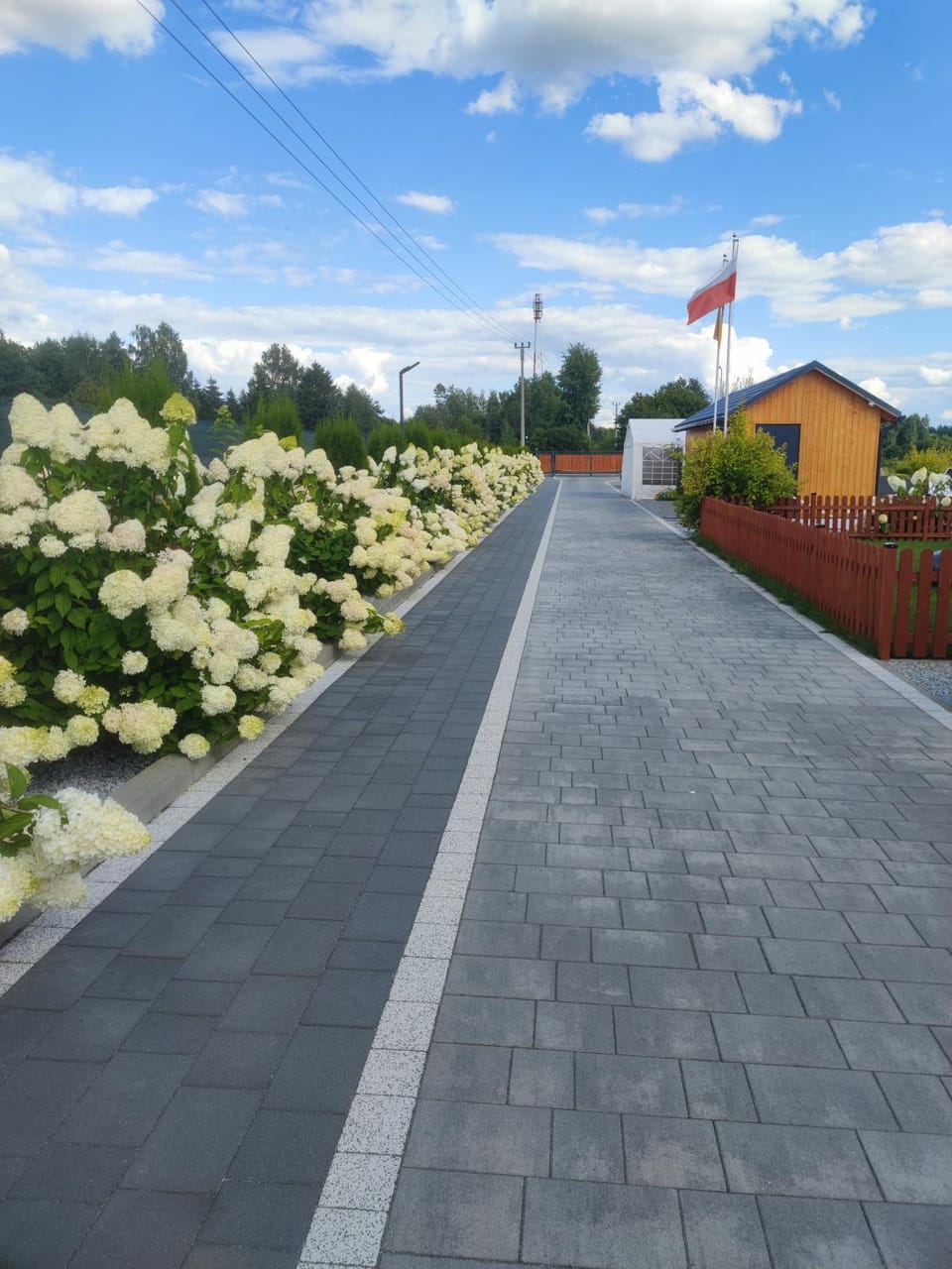 Day, Garden, Garden, Garden view