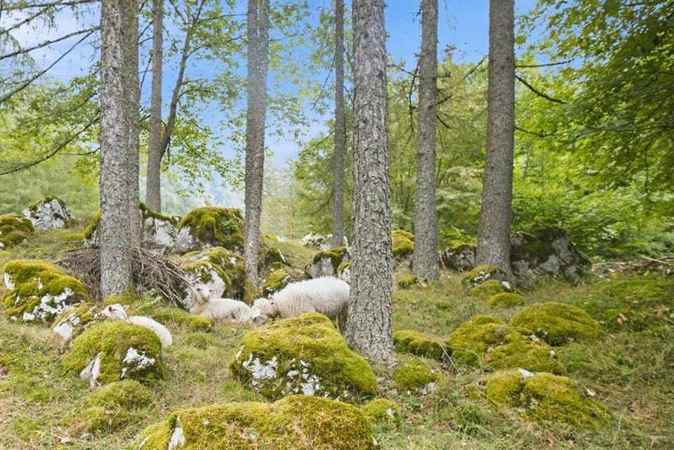 Natural landscape