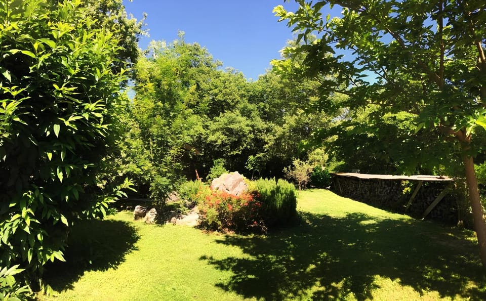 Spring, Natural landscape, Garden