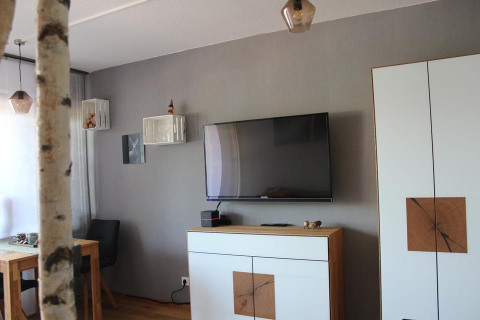 TV and multimedia
