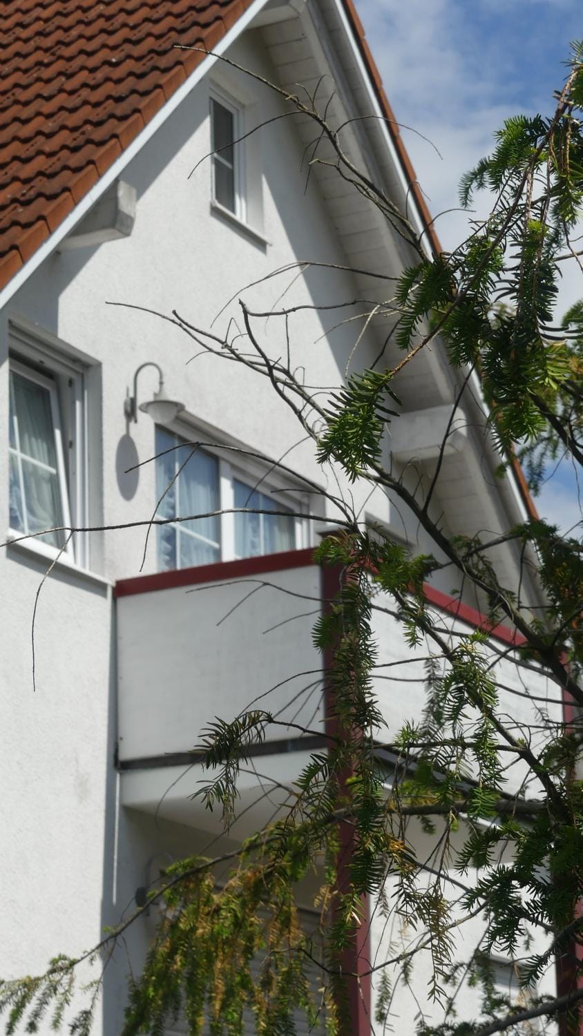 Other, Decorative detail
