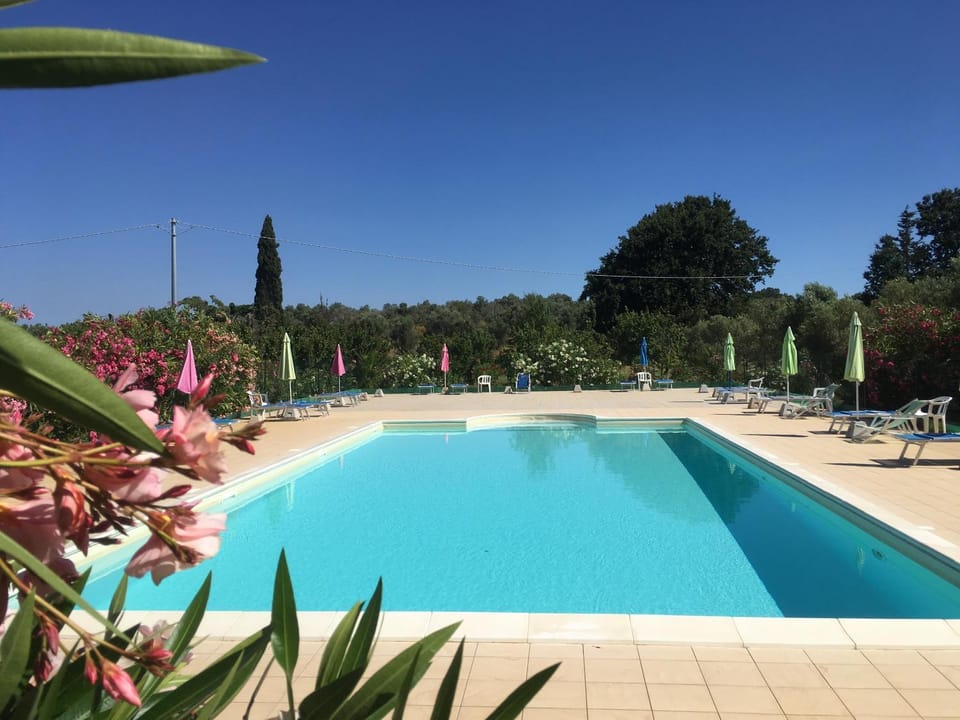 Pool view, Swimming pool