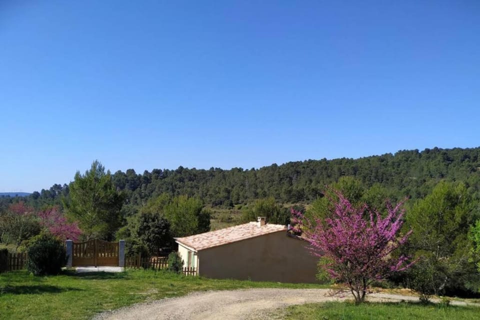 L'Arbre à soleil House in Occitanie