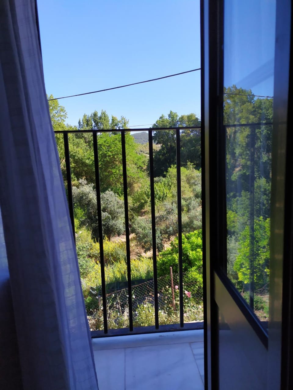 View (from property/room)