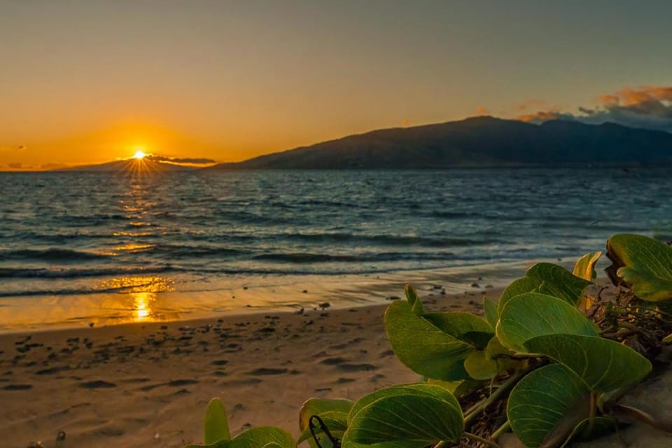 Maui Sunset A-322 Apartment in Kihei
