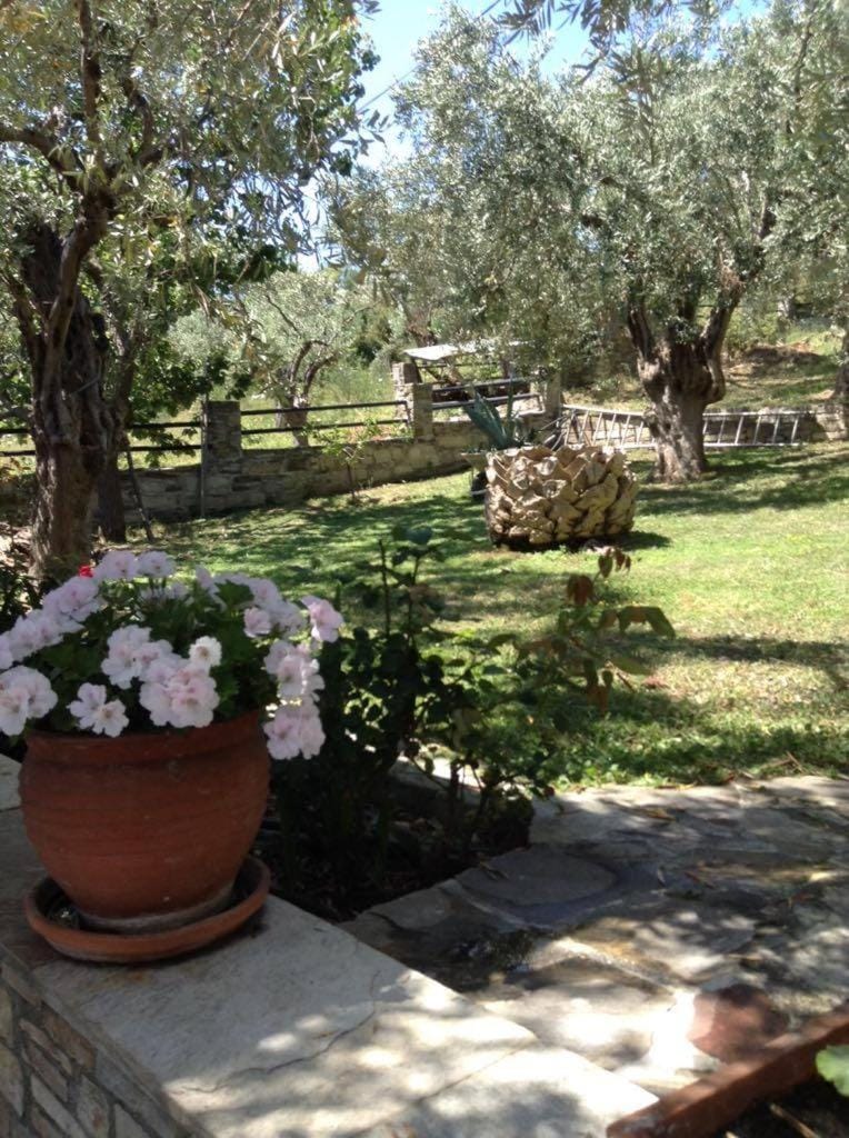 Garden, Garden view