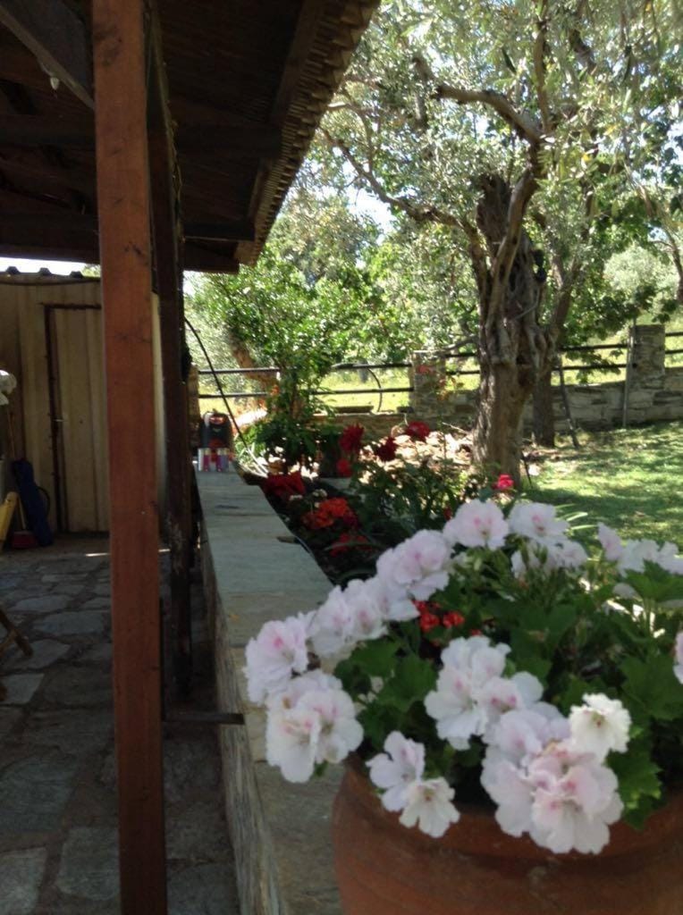 Garden, Garden view