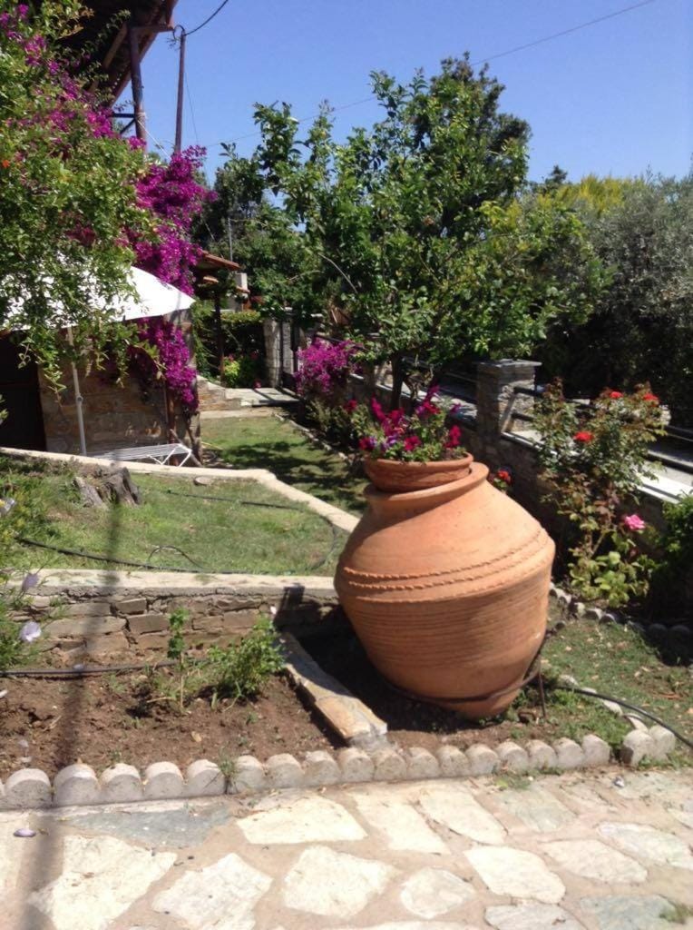 Garden, Garden view, Garden view