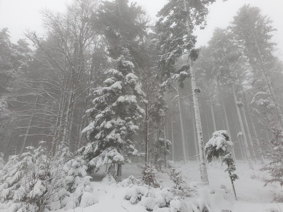 Natural landscape, Winter