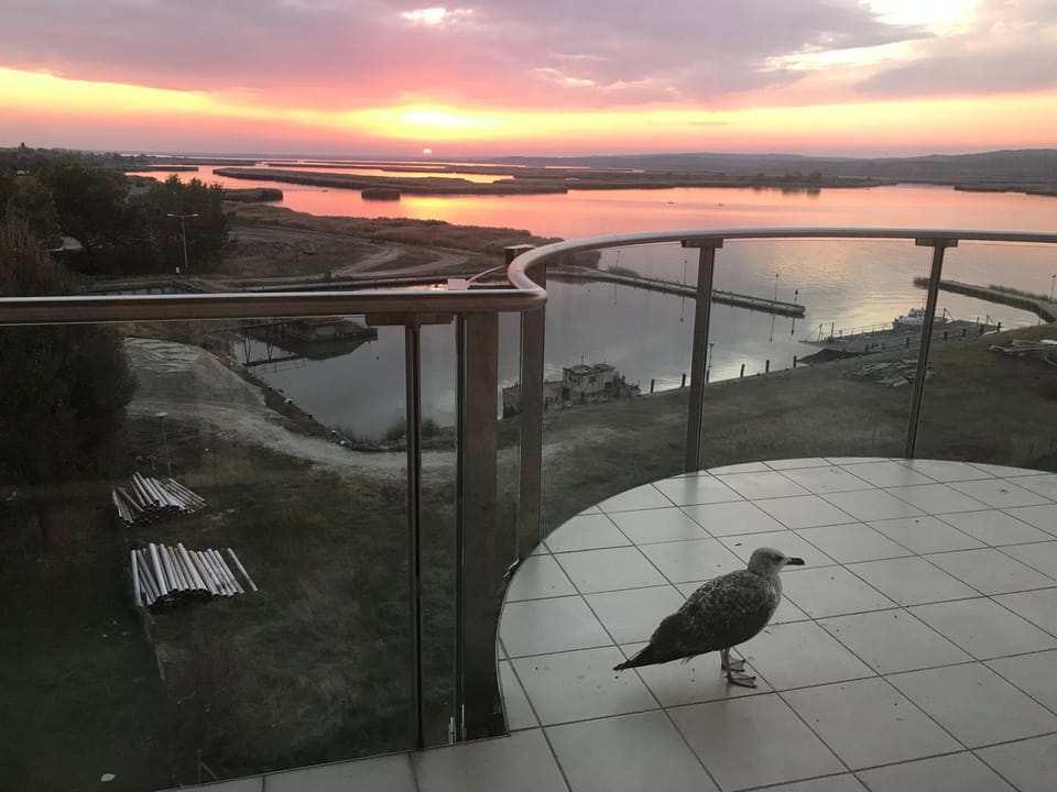 Balcony/Terrace, Sunset