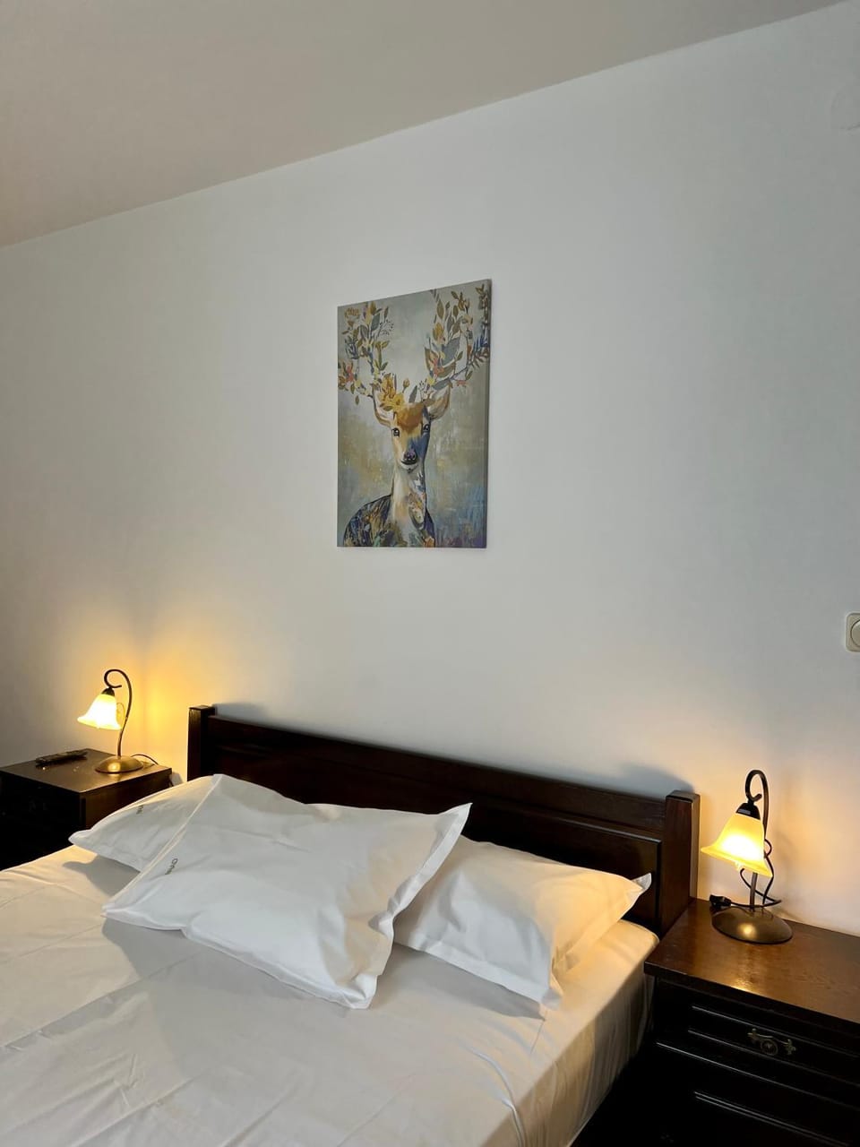 Vila Brad Bed and Breakfast in Prahova, Romania