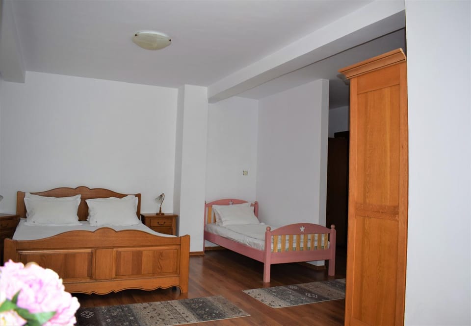 Vila Brad Bed and Breakfast in Prahova, Romania