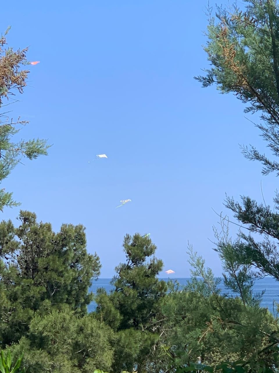 La collinetta sul mare House in Abruzzo