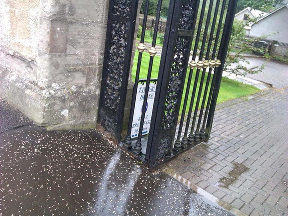 Tayburn House Bed and Breakfast in Scotland