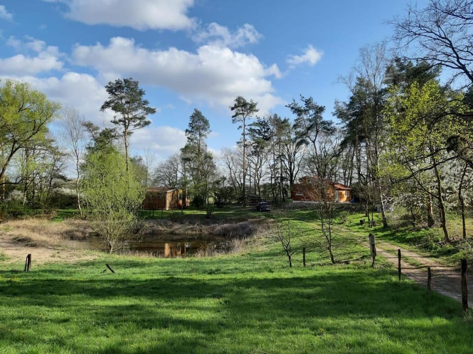 Naturhaus Allerblick - free Wifi House in Heidekreis