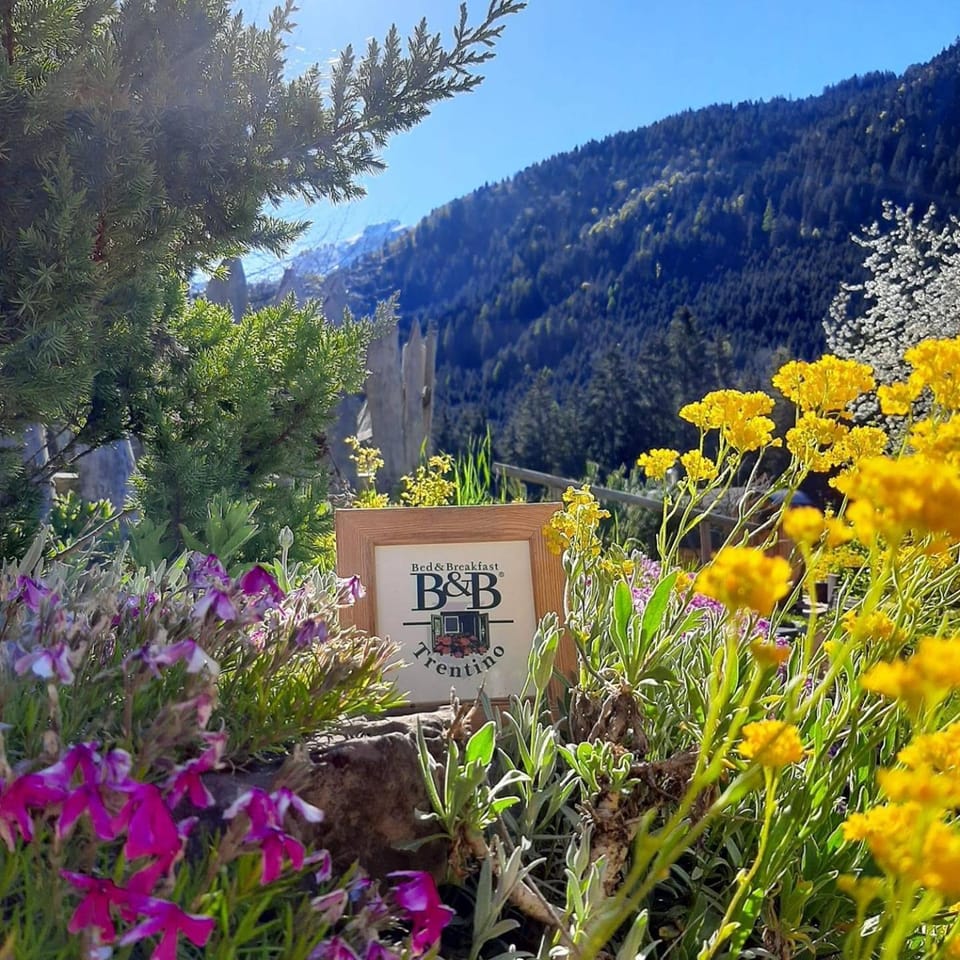 Maso Pin Bed and Breakfast in Province of Brescia