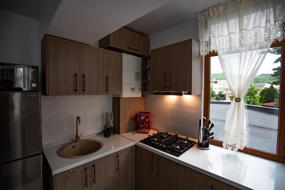 Apartament Natalia Apartment in Romania