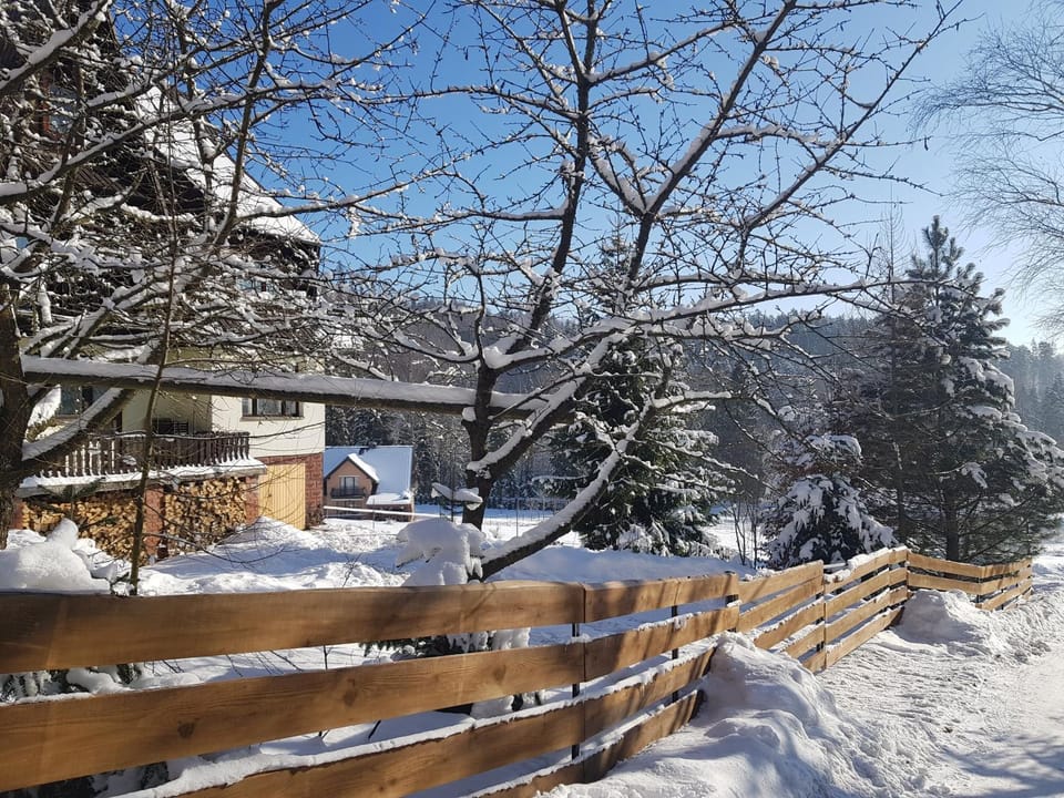 Winter