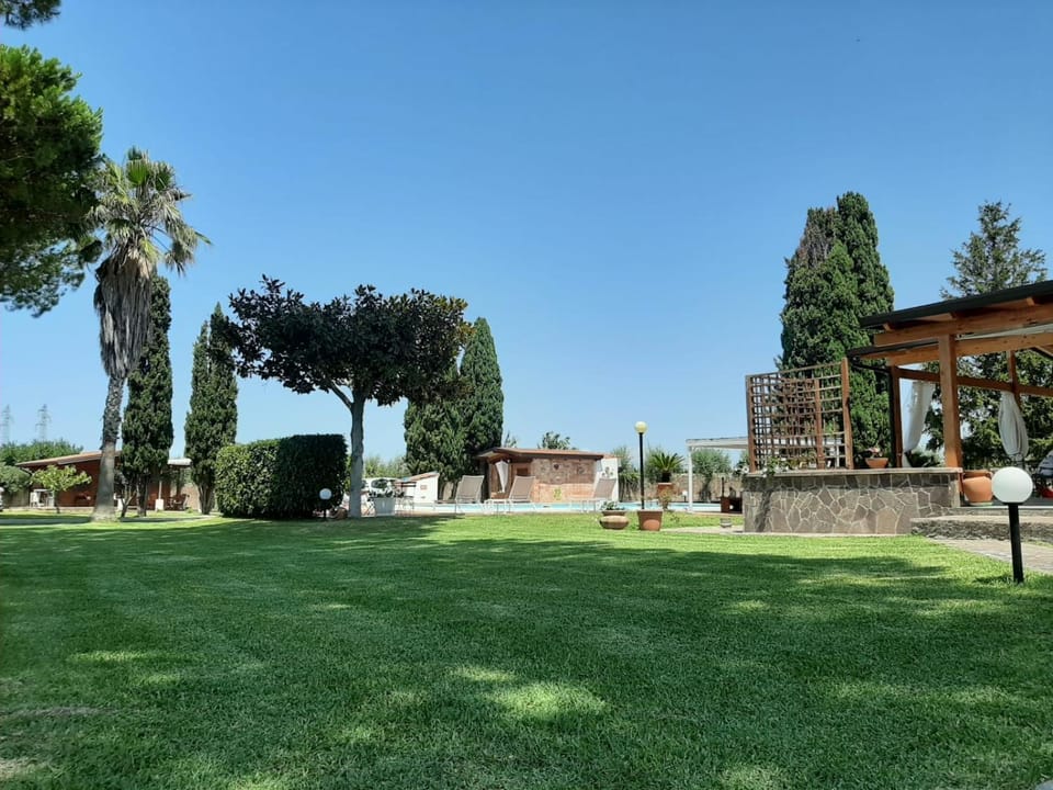 Garden view
