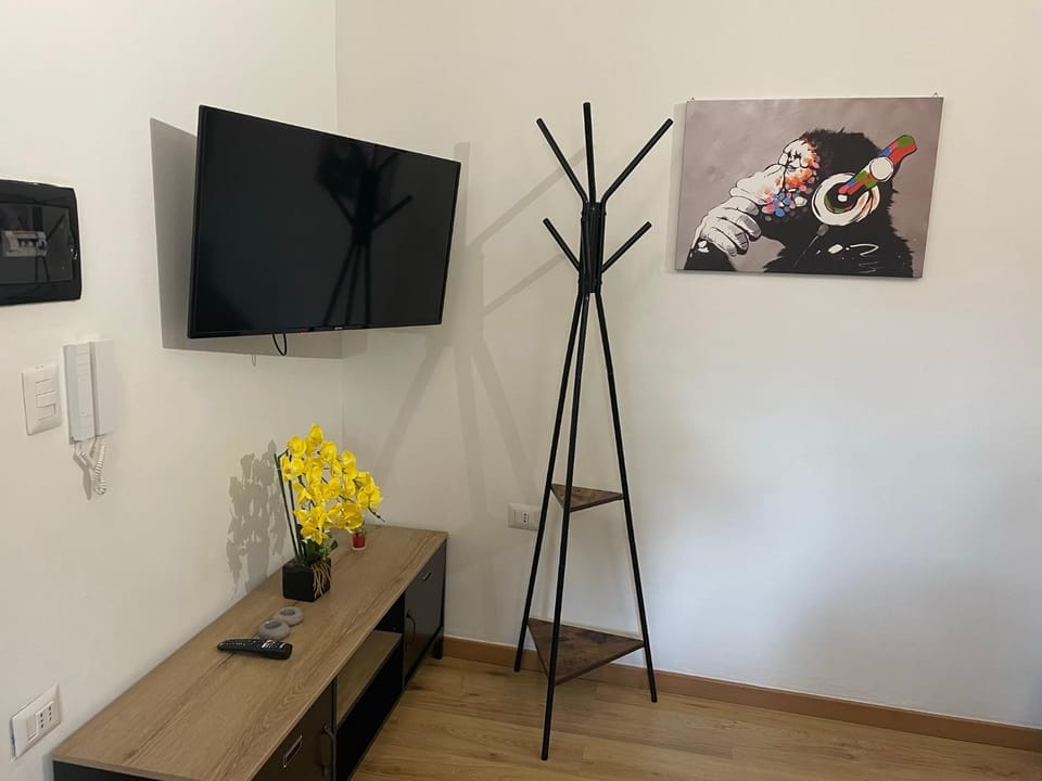 TV and multimedia