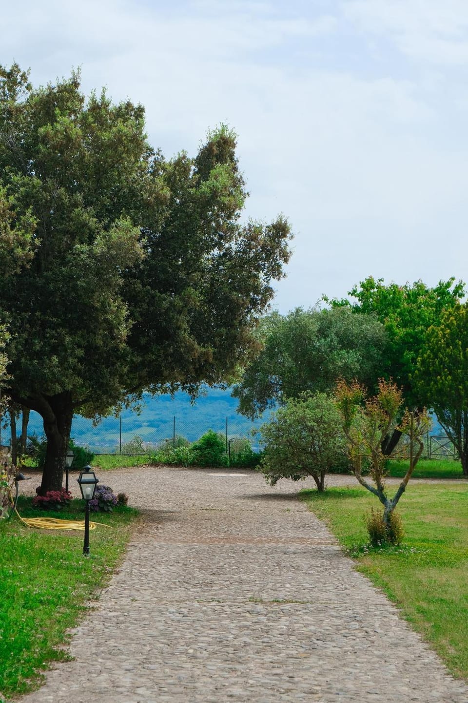 Garden view