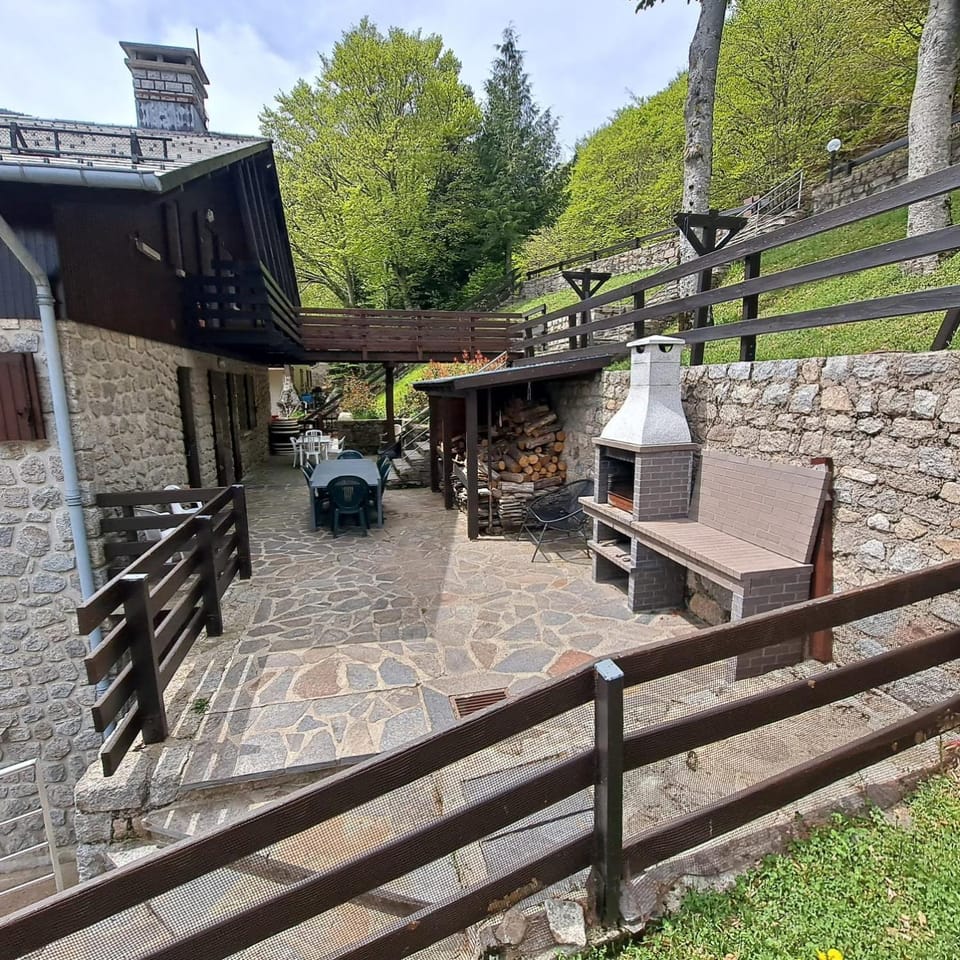 Patio, Garden, Garden view