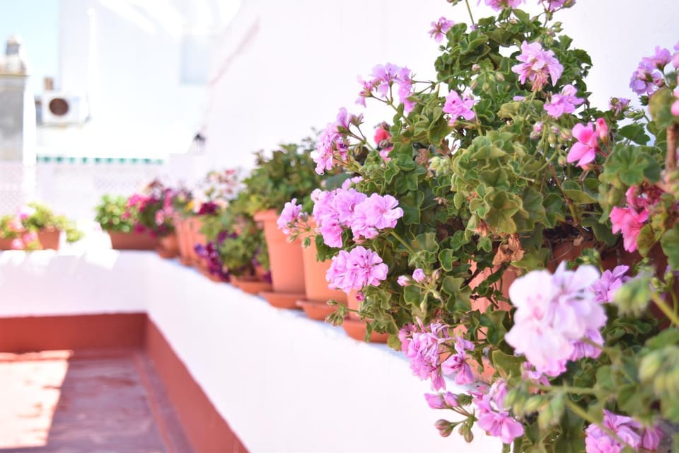 BBQ facilities, Balcony/Terrace