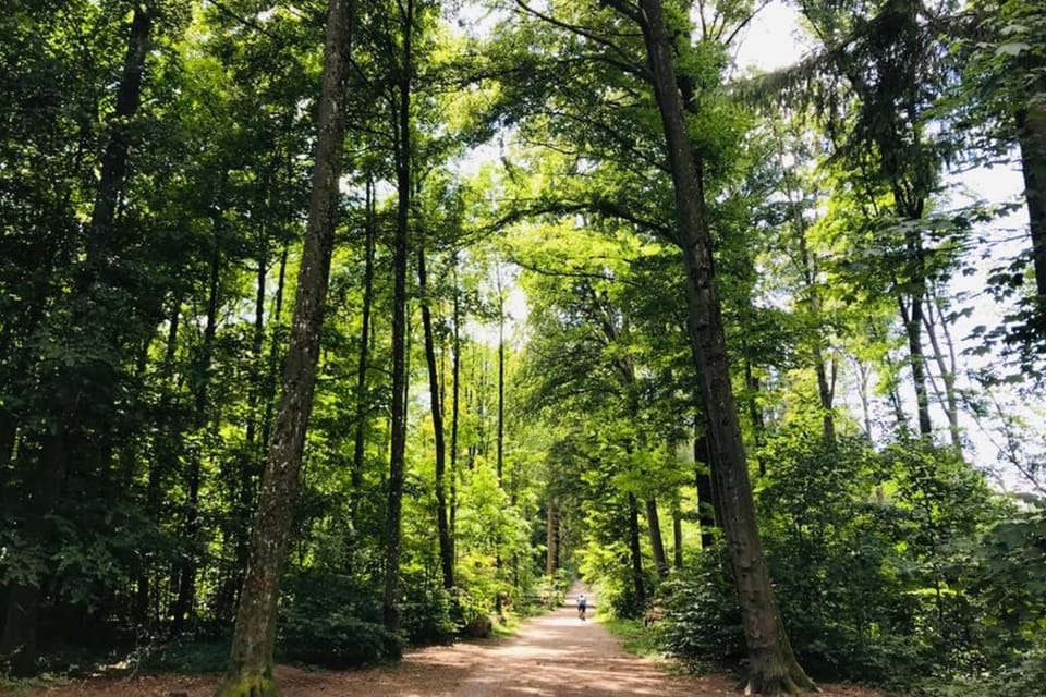Day, Natural landscape, Hiking