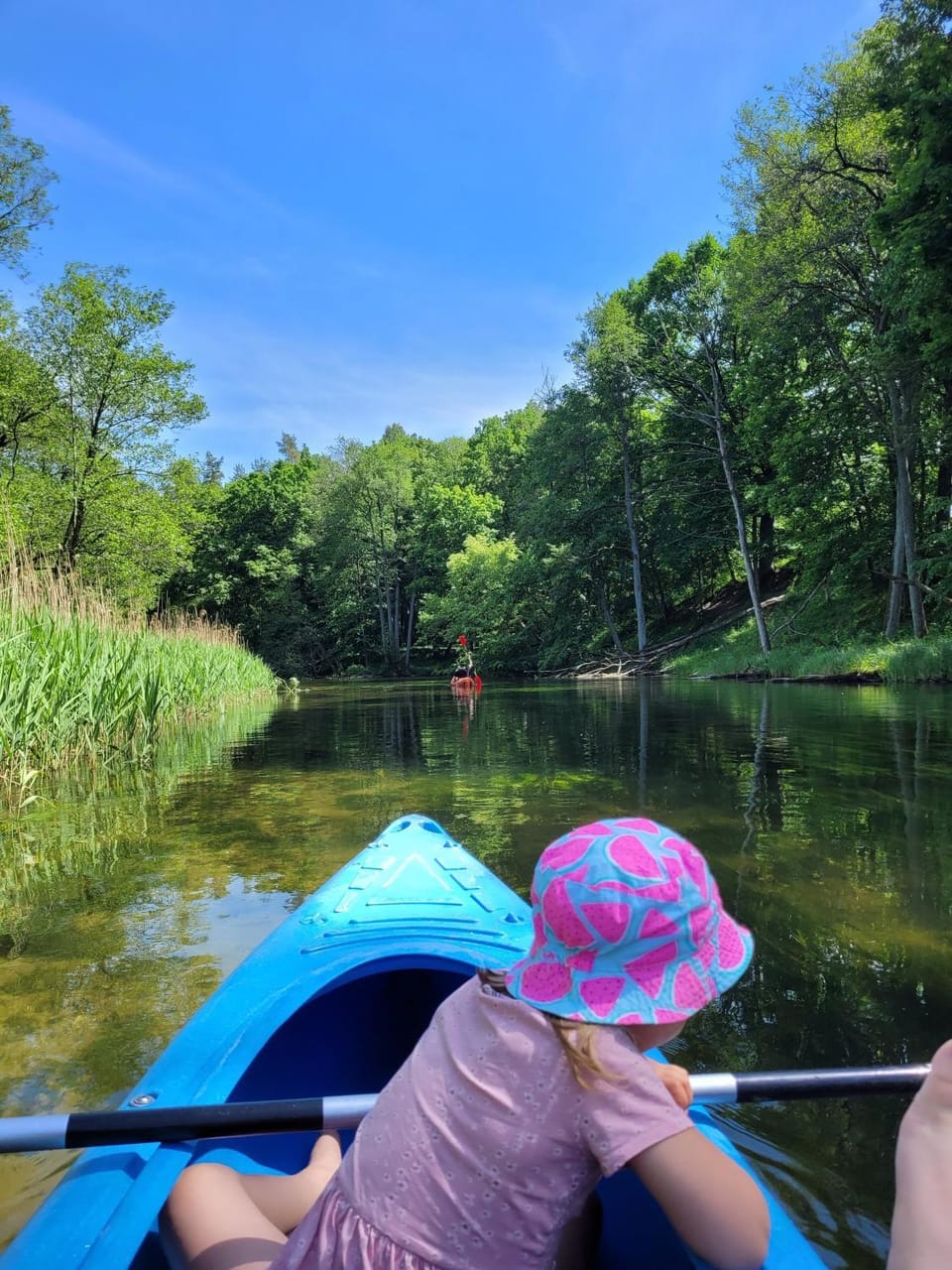 Kukułka Mazury Bed and Breakfast in Poland