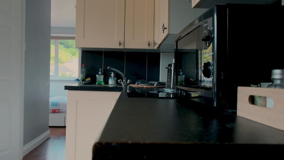 Kitchen or kitchenette, minibar, pet friendly, stove