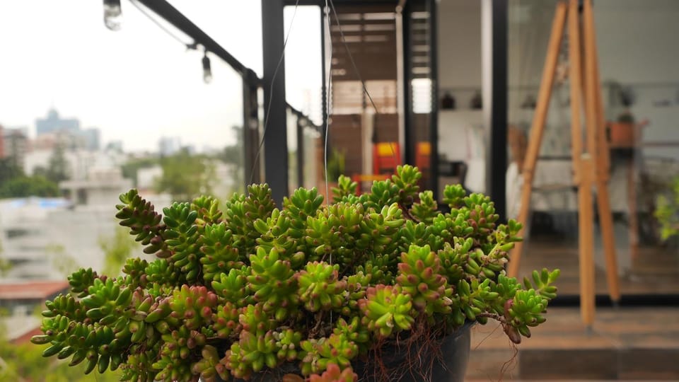Patio, Balcony/Terrace
