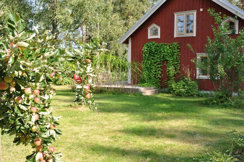 Bli en del av Vråka by House in Kalmar County, Sweden